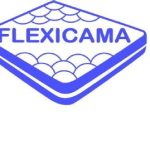 FRANCISCO PALAZON MARTINEZ